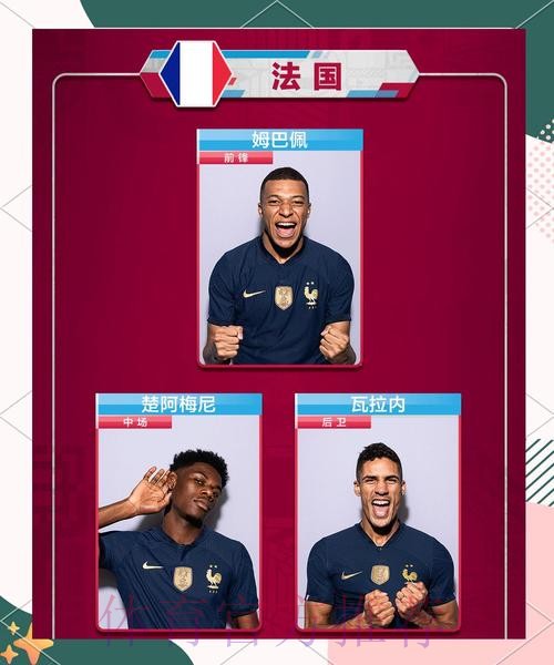 深入解析：选择世界杯下注平台的独特优势与理由