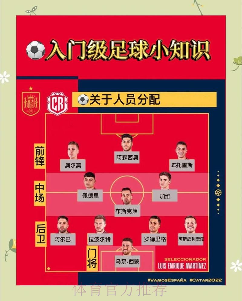 详解世界杯比赛安排：策略与关键看点解析